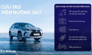 Dịch Vụ Bảo Hiểm LEXUS