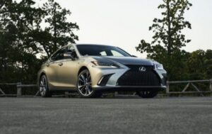 Lexus ES 250 2025 có bao nhiêu chỗ ngồi ?