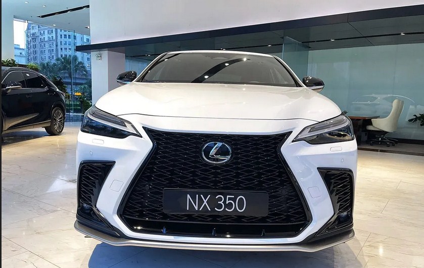 Lexus NX 350 F Sport 2025 có bao nhiêu chỗ ngồi?