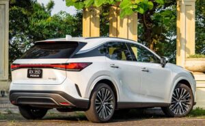 Lexus RX 350 Premium 2025 có bao nhiêu chỗ ngồi ?