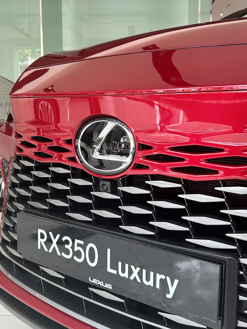RX 350 Luxury 2025 (2)